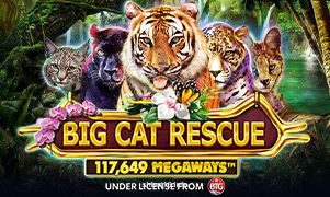 Big Cat Rescue Megaways tại shbet16